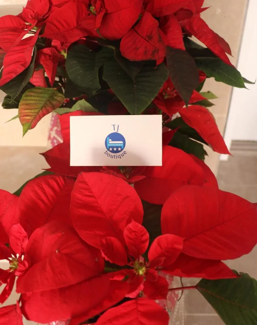 Hotel Tj Boutique Marsaskala Gasthof